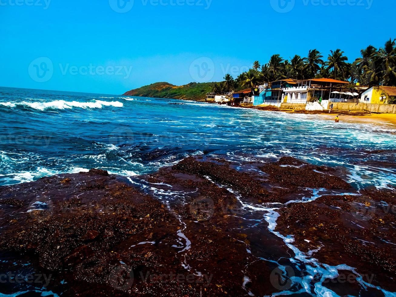 konkan in beach Devbaug photo