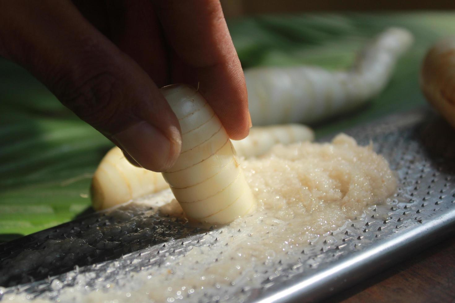 hands are grating arrowroot photo