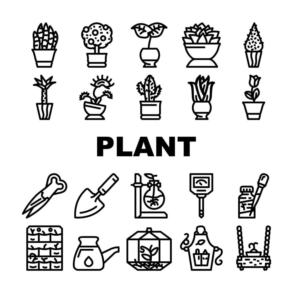 Potted Plant And Care Accessories Icons Set Vector