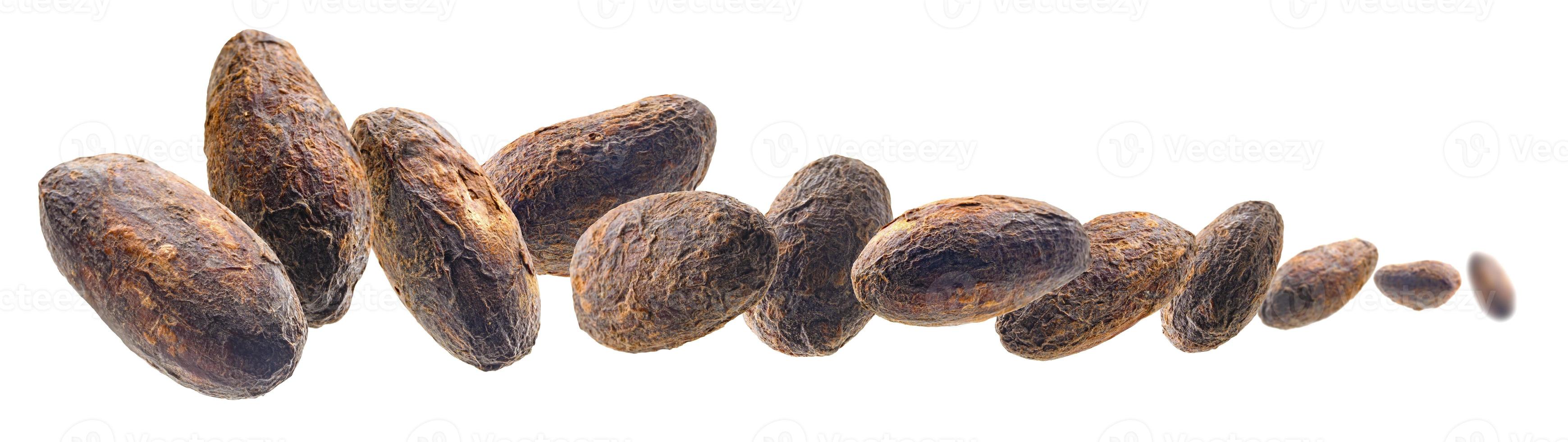 Cocoa beans levitate on a white background photo