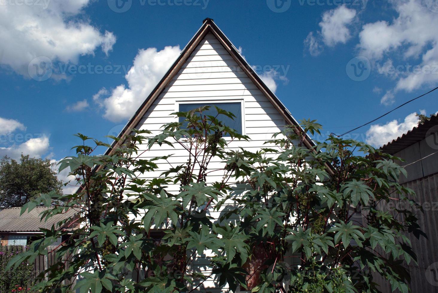 roof of the house photo