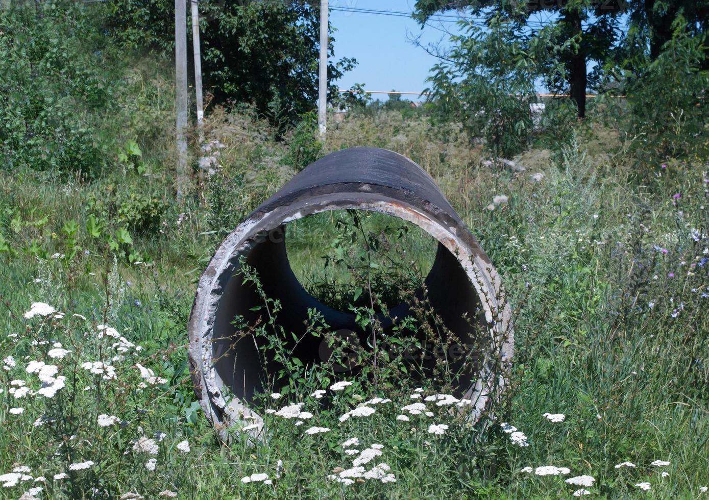 concrete pipe in on the grass photo
