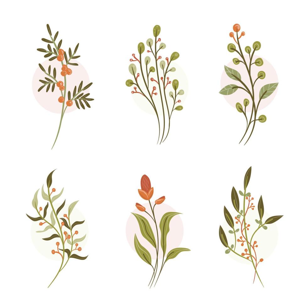 beautiful floral elements set vector