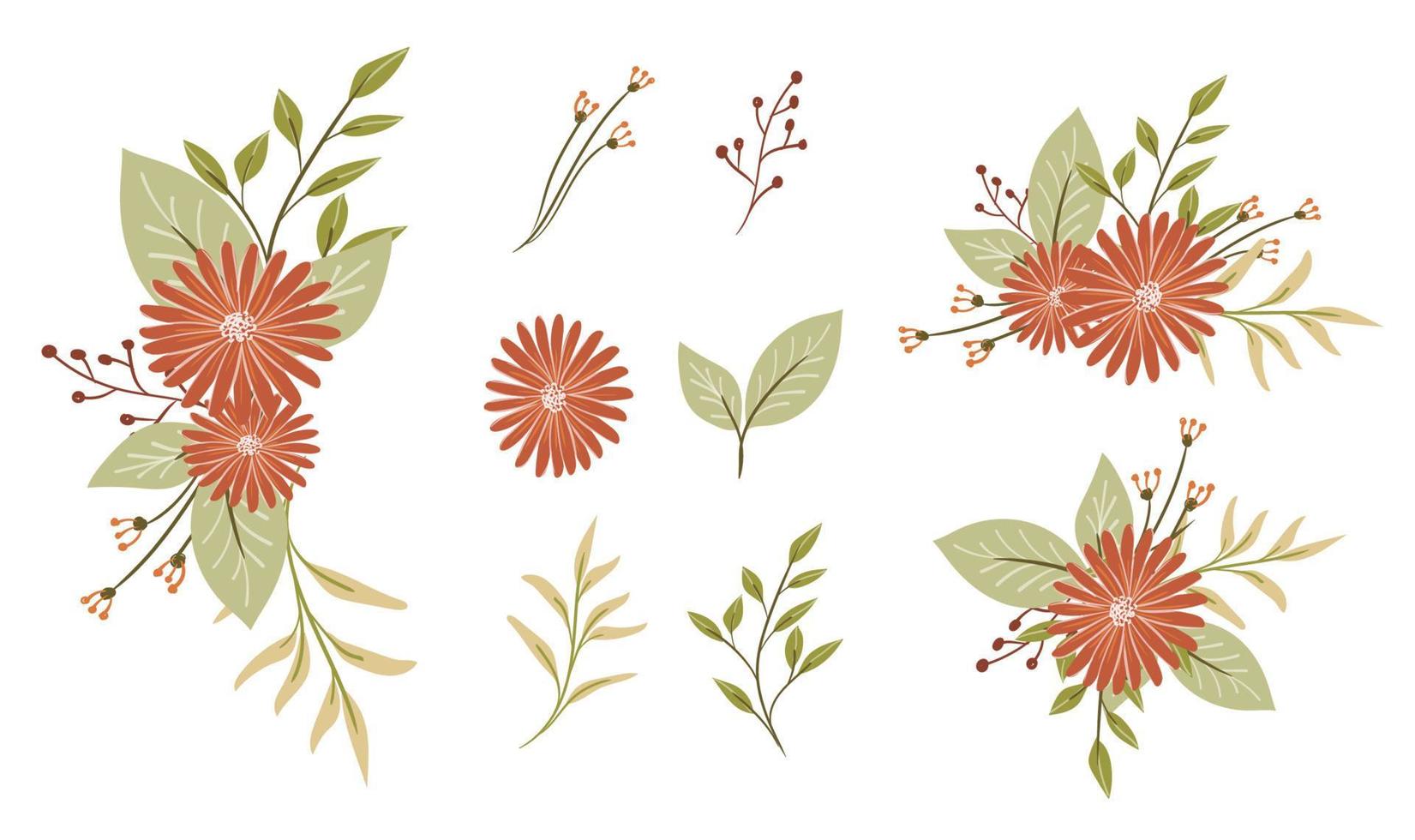 set of floral elements vector