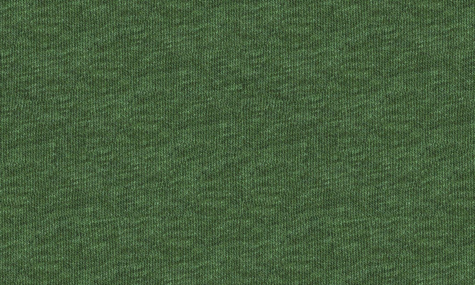 Green Color Cotton Jersey Fabric Texture Background. photo