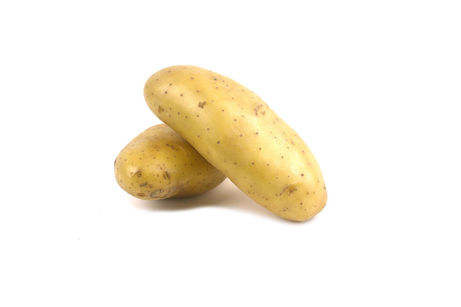 Fresh potato or Solanum tuberosum isolated on white background photo