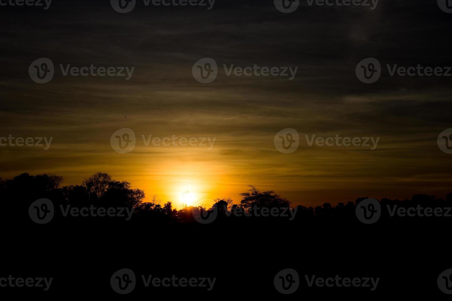 Sunset in forest. photo