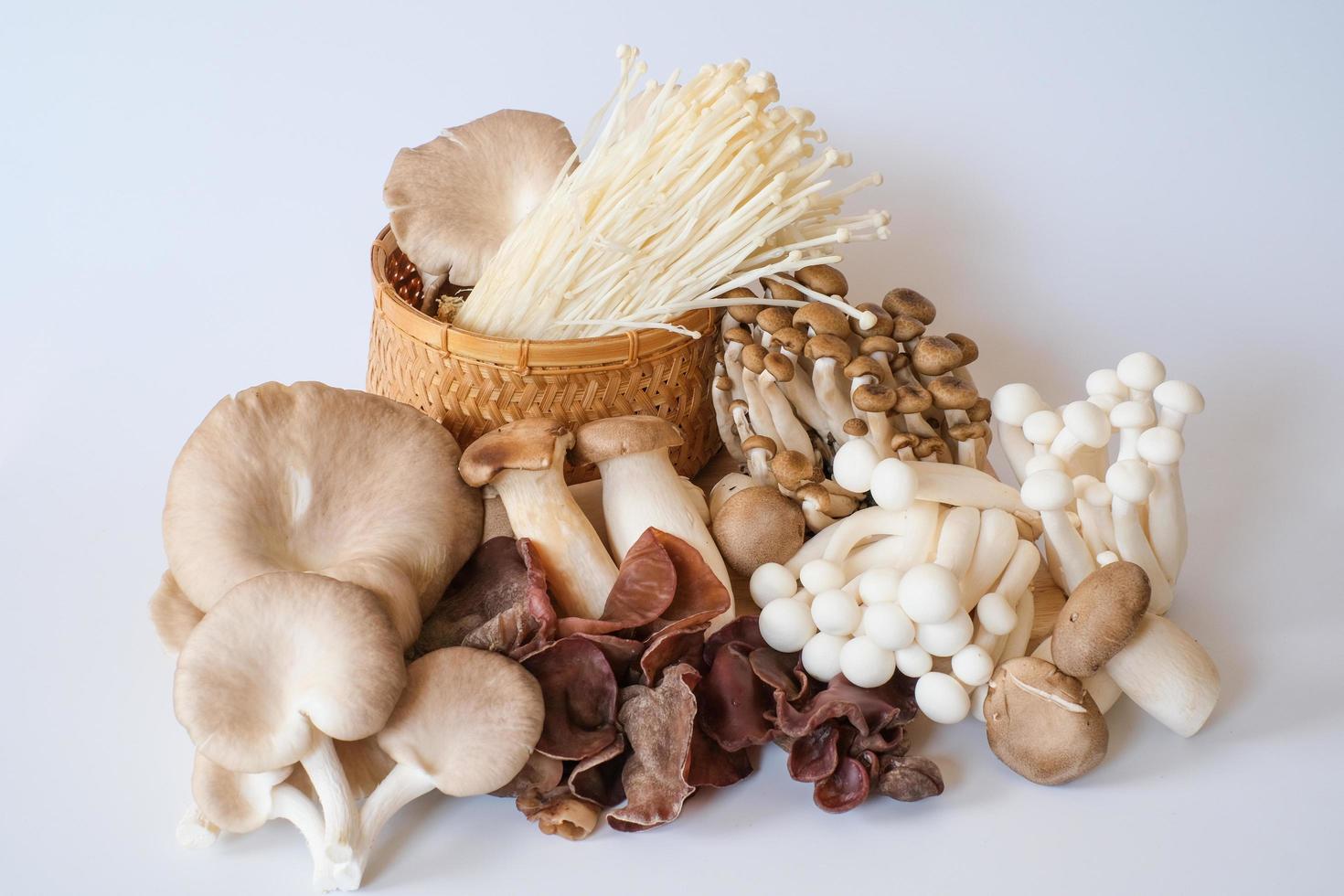 Variety of mushrooms. Fresh organic shiitaki, grey oyster mushroom, jelly ear and enoki mushrooms. Delicious and nutritious ingredient for vegetarian and healthy lifestyle . photo