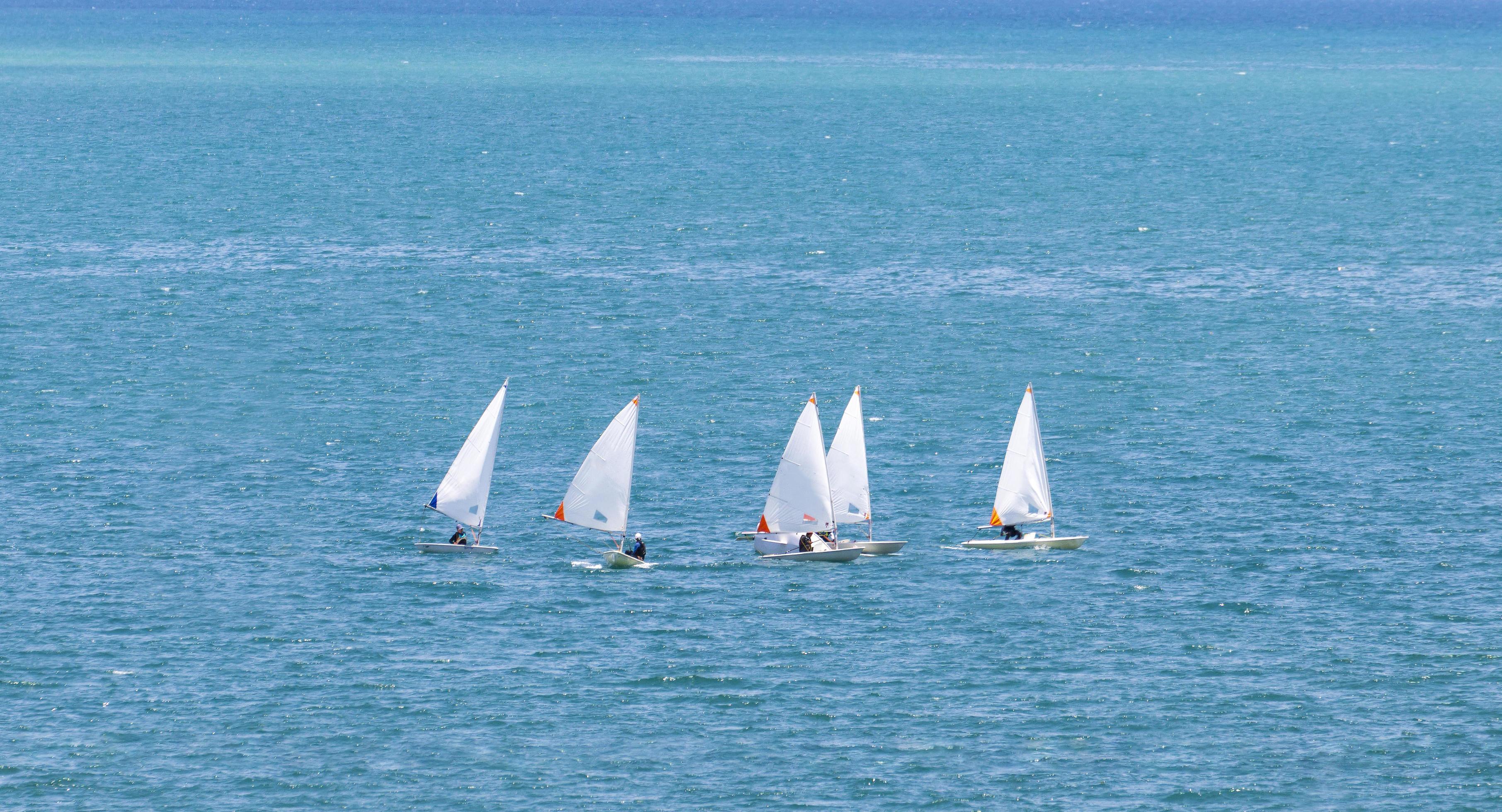 Group of white dinghy optimist sailboat sailing in the open sea with