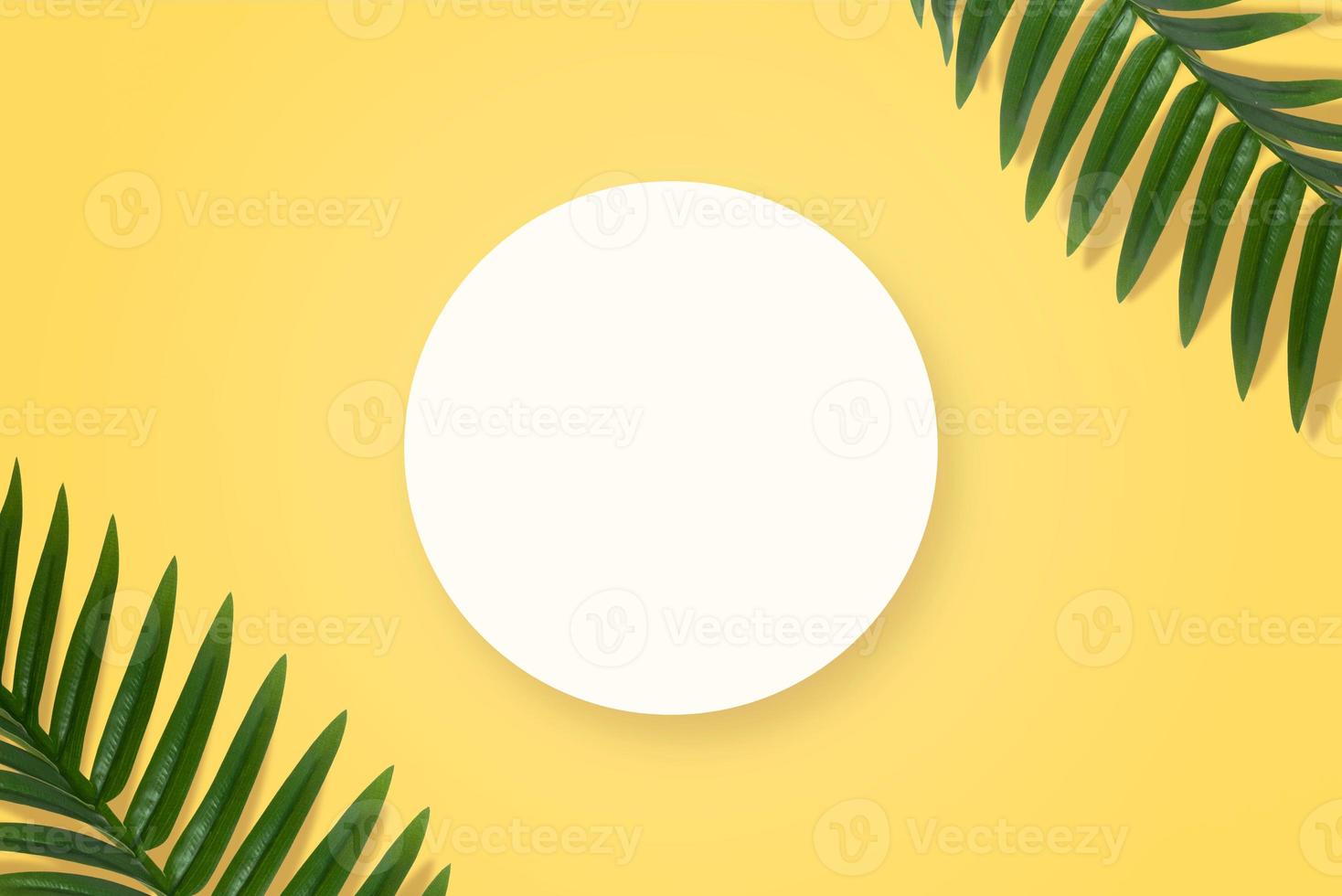 Tropical travel background with clean round paper and palm leaves on yellow surface photo