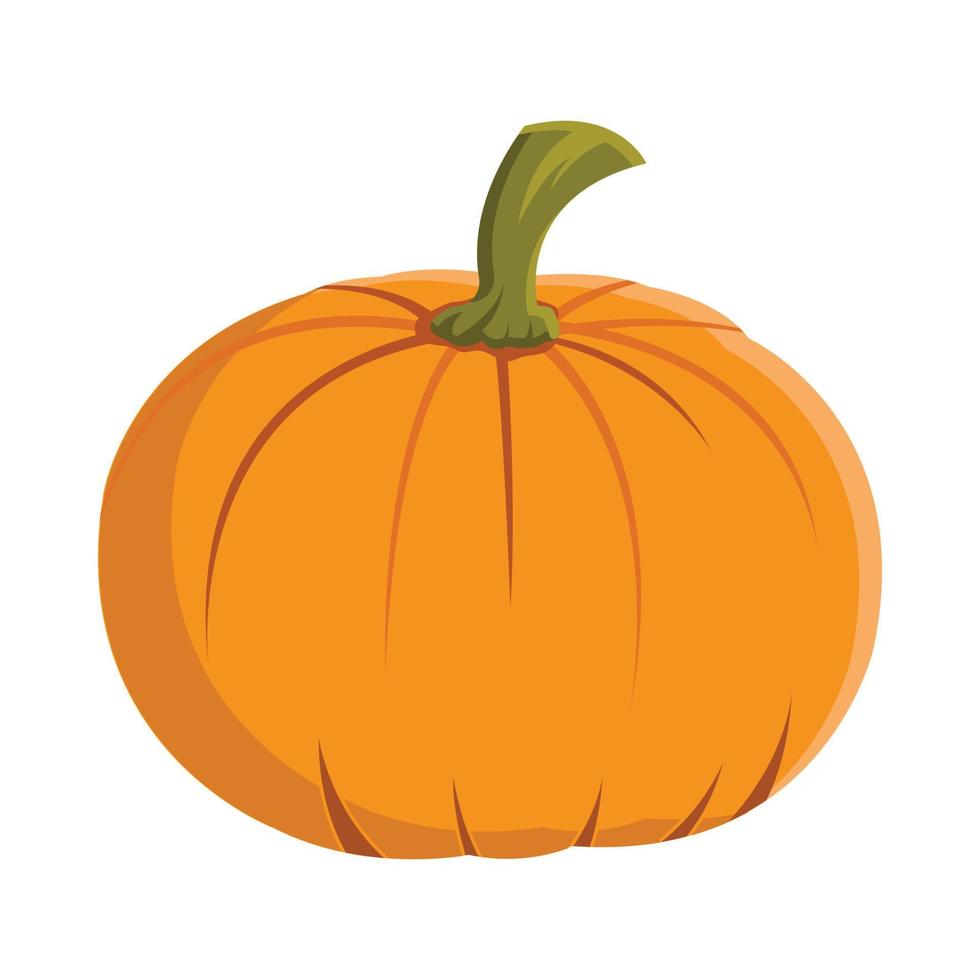 Halloween ripe pumpkin design on a white background. Pumpkin with isolated shape design. Halloween ripe pumpkin party element vector illustration. Pumpkin vector for upcoming Halloween events.