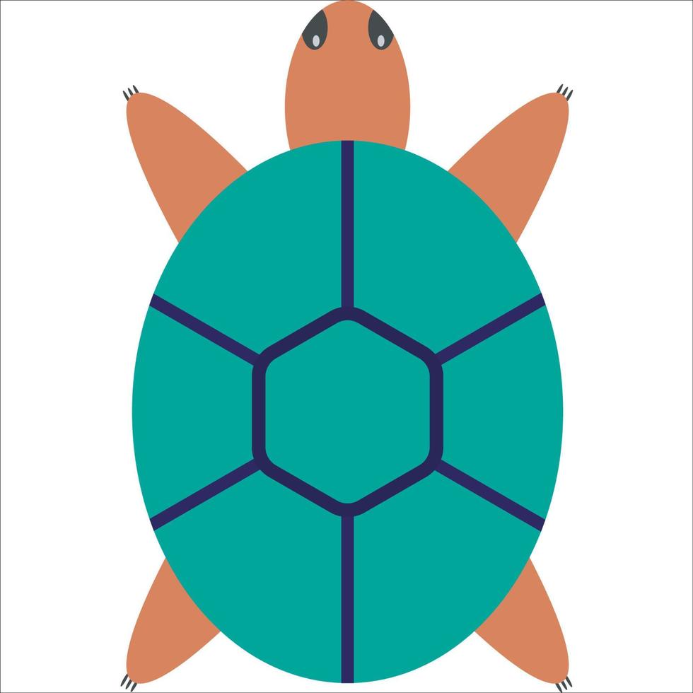 Kids cartoon design turtle animal vector