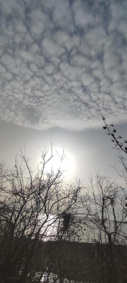 sunset and cirrus clouds. sun over the lake. landscape gray shades photo