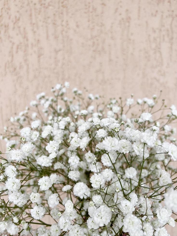 ramo de gypsophila, espacio para texto. ramo de flores blancas. flores pequeñas, primavera foto