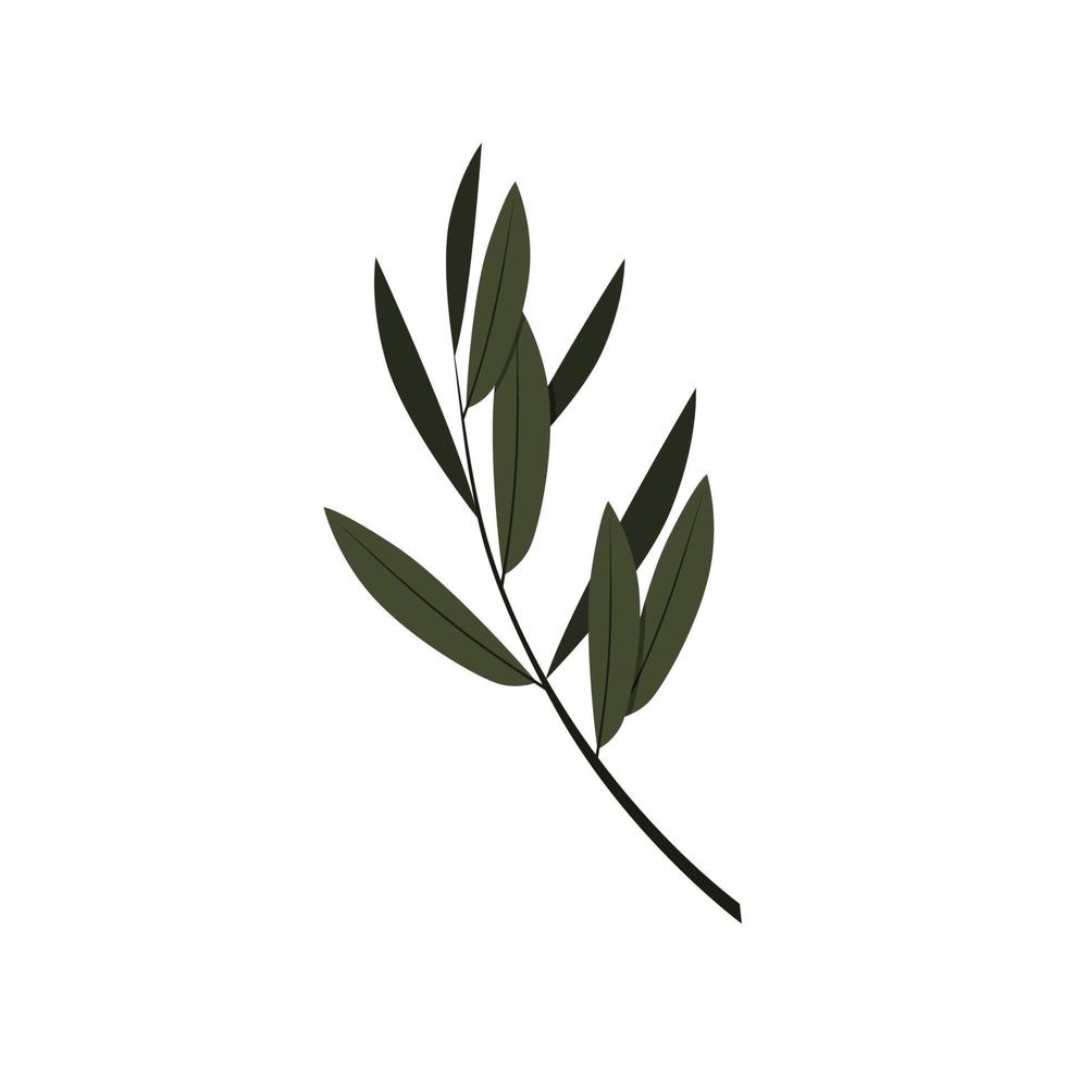 Olive Leaf logo template vector design