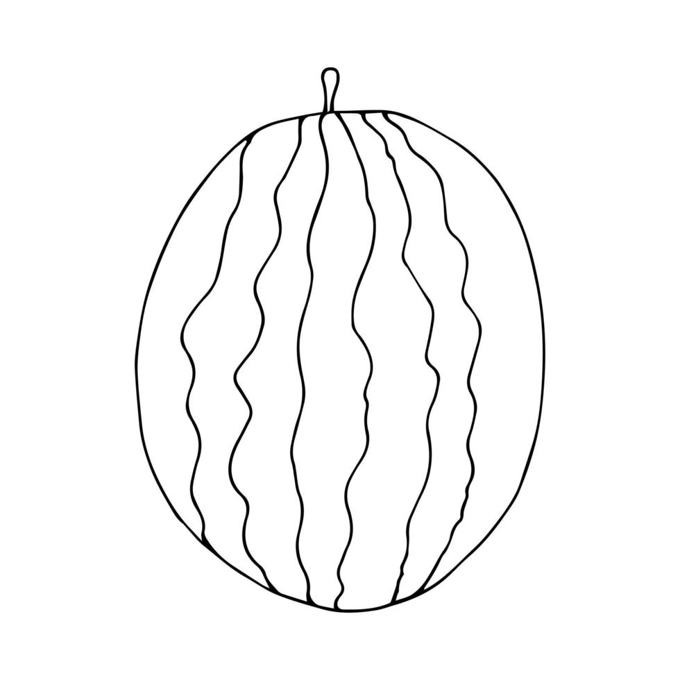 Doodle a whole watermelon on a white background.Vector watermelon can be used in coloring pages,textiles, and postcards. vector