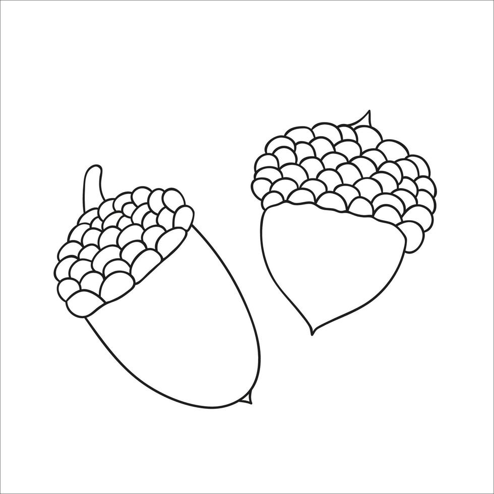 Vector line oak acorn icon isolated on white background. Tree greenery botanical illustration. Cartoon style autumn picture