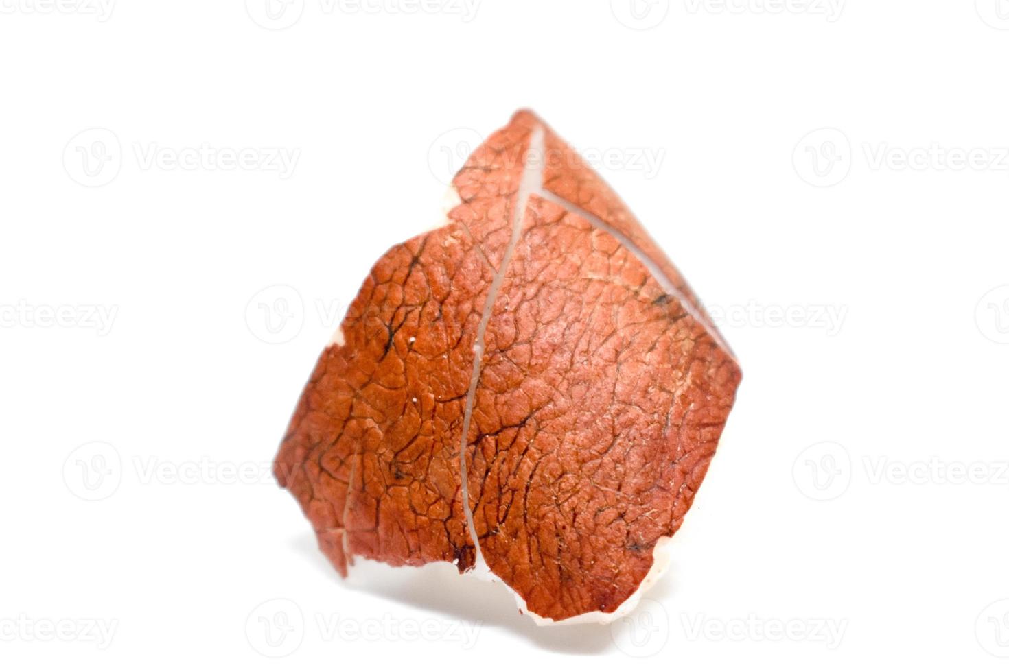 Piece of Coconut with White Background. photo