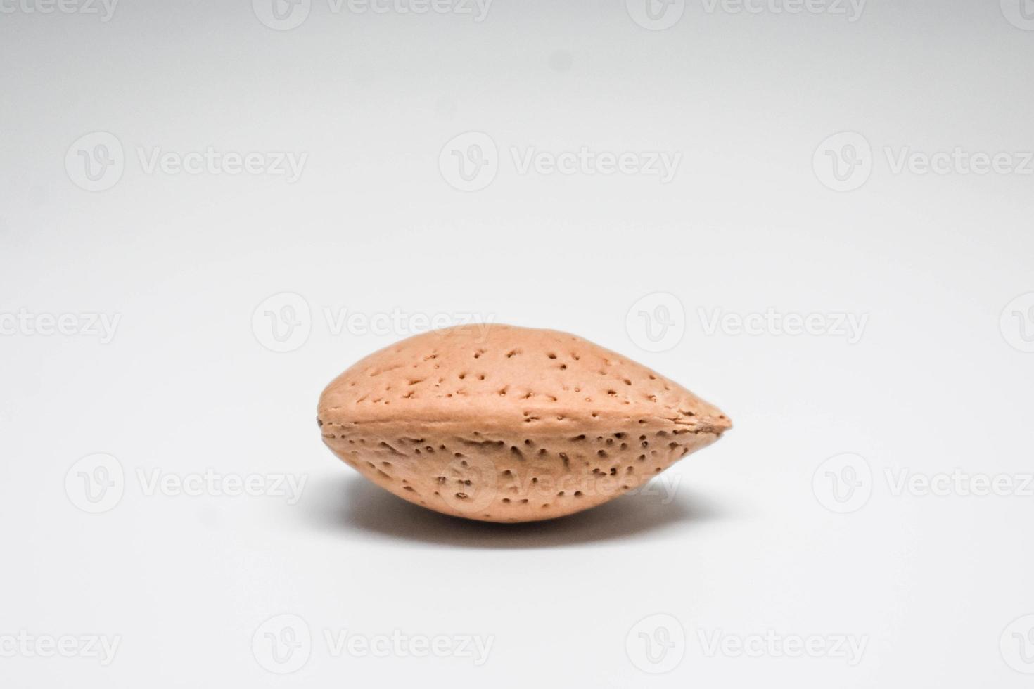 This is Almond with White Background. photo