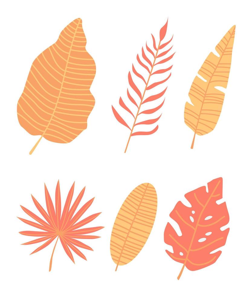 Set of tropical leaves. Vector cartoon rainforest leaves isolated on white background. Brazil jungle flora in flat style. Banana leaf, palm, fern, monstera, and other. Tropic plants