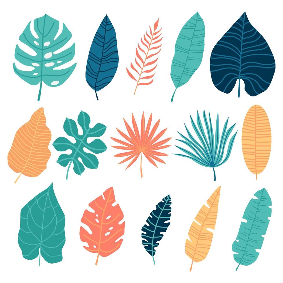 hojas de palmeras tropicales vectoriales, hojas de selva, hojas divididas, hojas de filodendro aisladas en fondo blanco vector