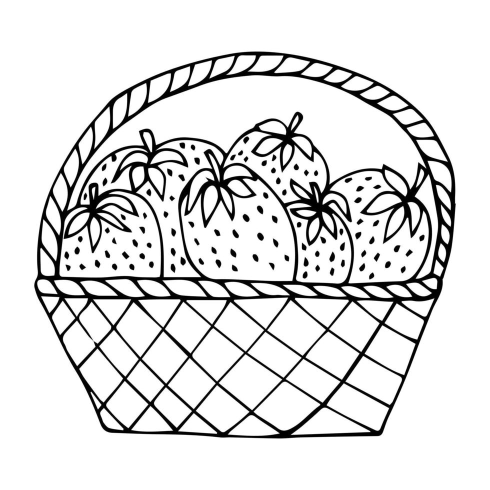Strawberries in the basket.Box.Doodles ,vector,black and white illustration,coloring book for adults and children. vector