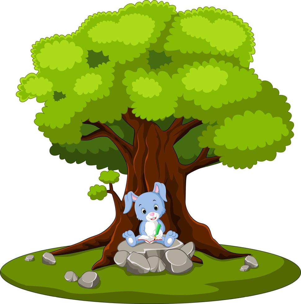 rabbit reading book and sitting on the stone vector