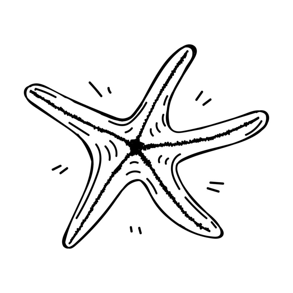 estrellas de mar, dibujadas a mano en estilo boceto. elemento de decoración Fondo blanco. aislado. criaturas del mar. el verano. Oceano. ilustración simple de vector de diseño plano