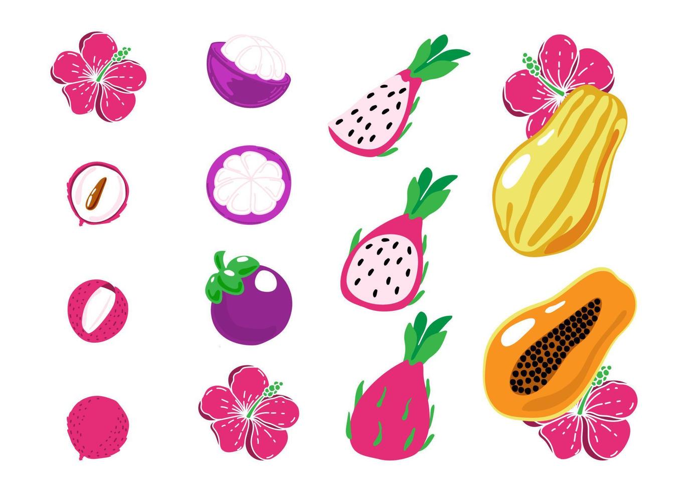 A set of exotic fruits, hand-painted lychee, mangosteen, papaya and pitaya in a flat style. Whole fruits, halves and small pieces. Bright hibiscus flower vector