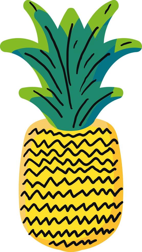 Natural pineapple hand drawn vector illustration