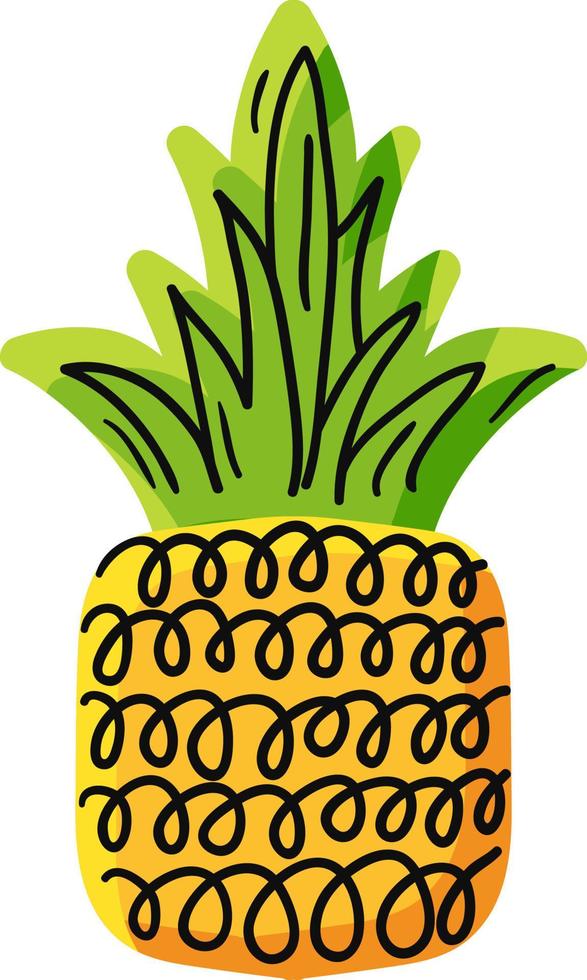 Natural pineapple hand drawn vector illustration