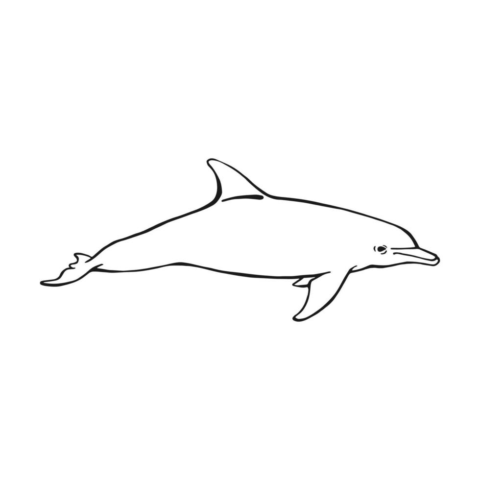Dolphin. Hand drawn illustration converted to vector. Vector with animal underwater.