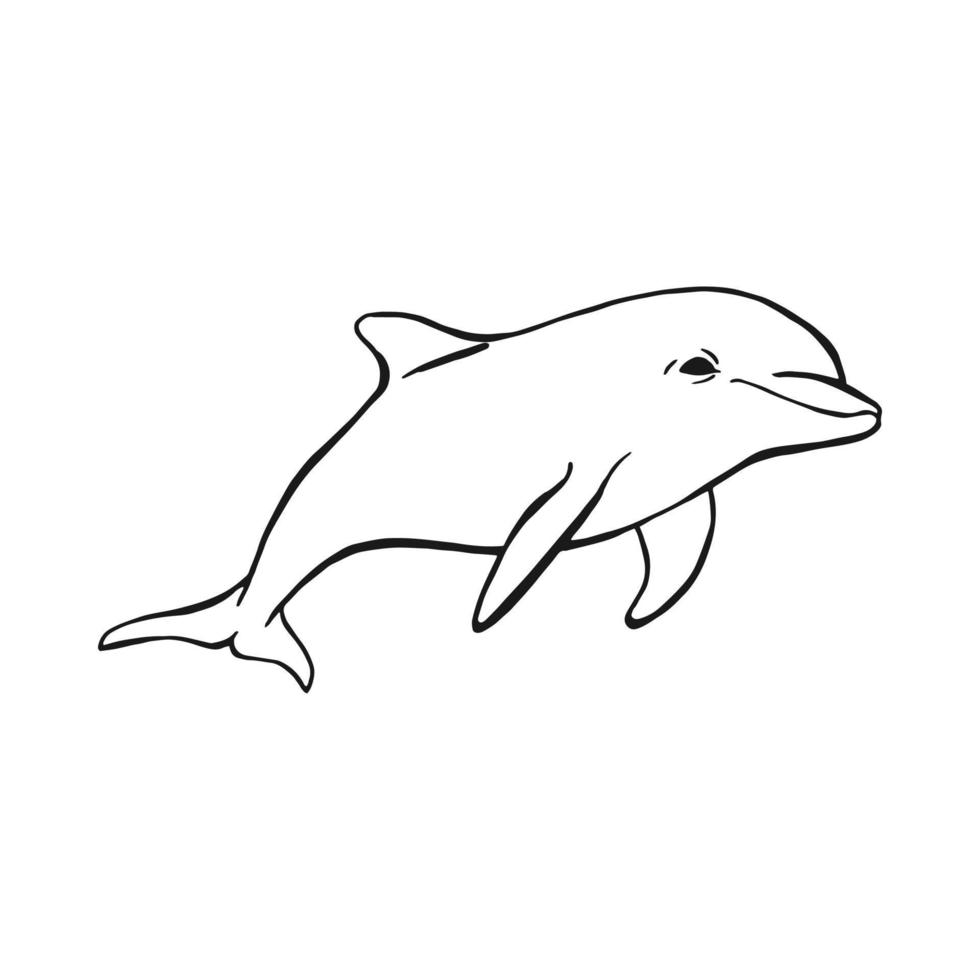 Dolphin. Hand drawn illustration converted to vector. Vector with animal underwater.