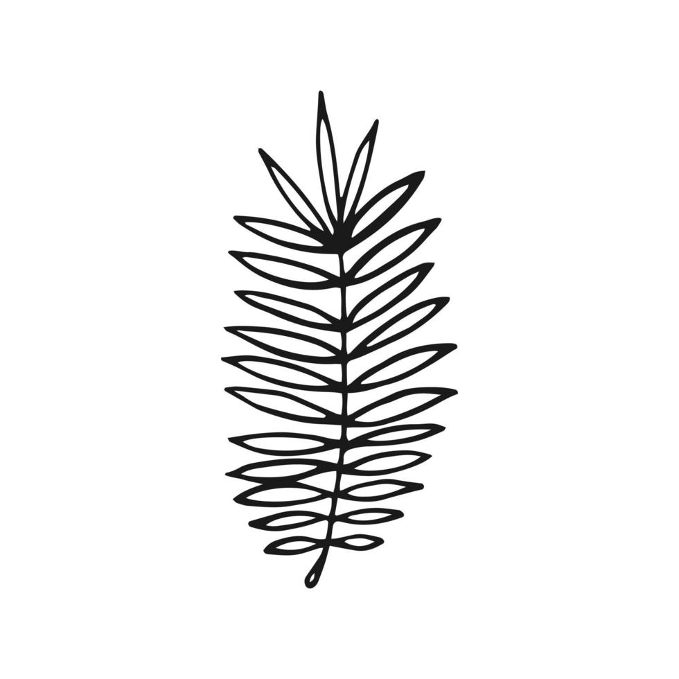 Tropical Leaf. Hand drawn vector illustration. Line art style isolated isolated on white background.