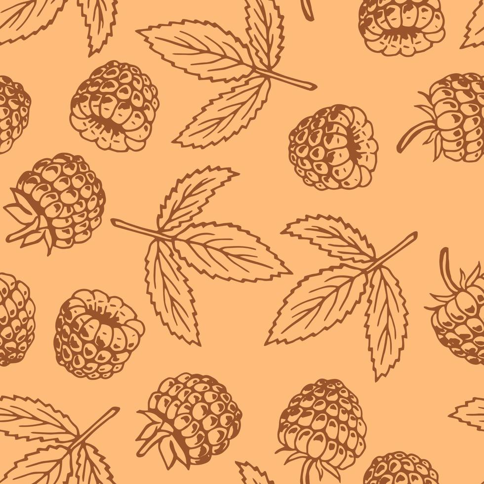 Seamless pattern with raspberry. Hand drawn illustration converted to vector. vector