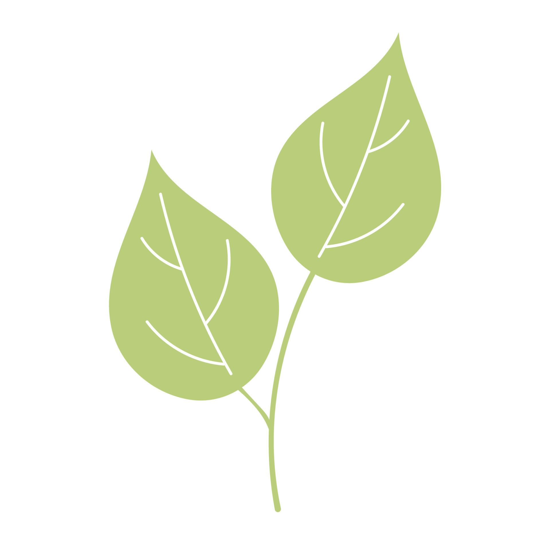 Green leaves in cartoon style, bright herb isolated on white background. 8024338 Vector Art at Vecteezy Green leaves in cartoon style, bright herb isolated on white background. 8024338 Vector Art at Vecteezy