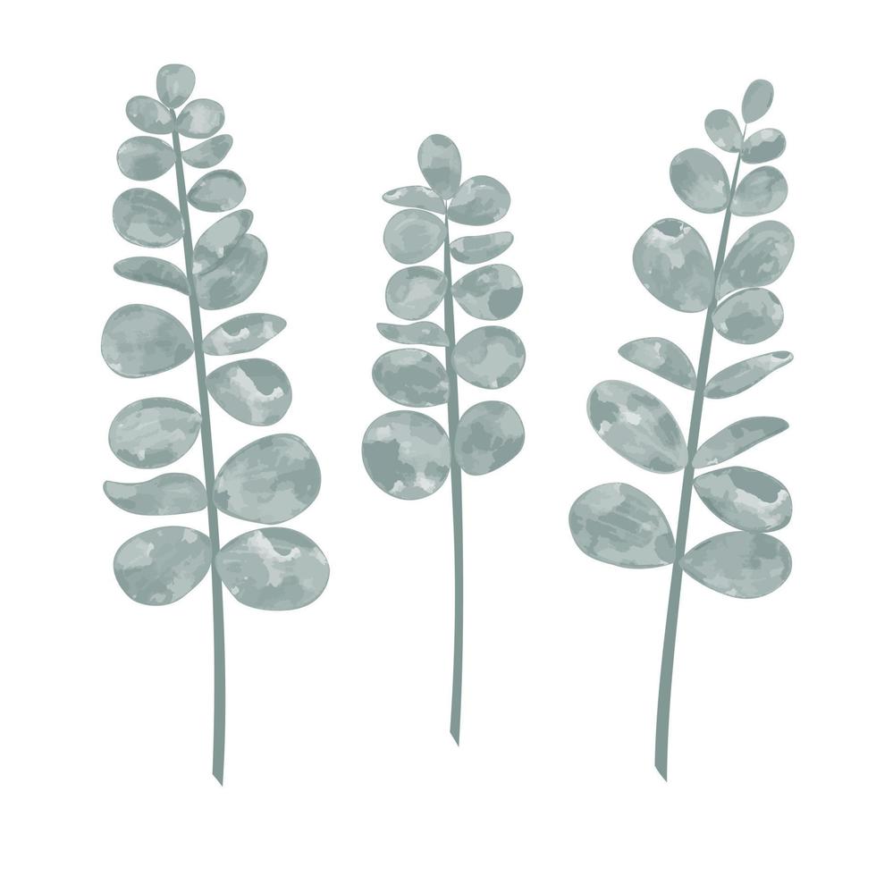 Watercolor sprigs of eucalyptus isolated vector