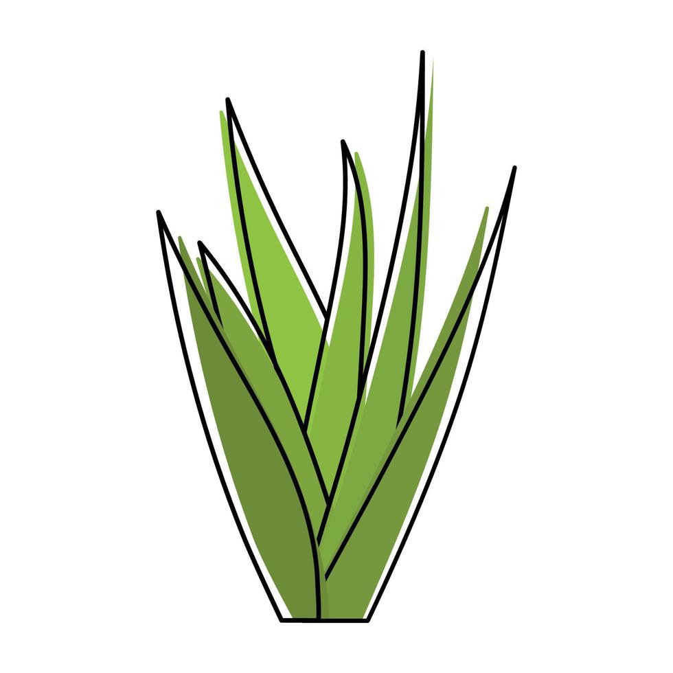 Animation Aloe Vera Icon Clipart with Outline Cute Cartoon in White Background Image vector