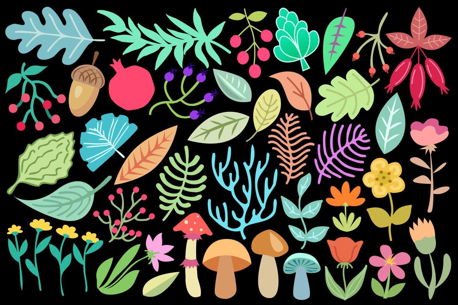 Botanical design elements set. Collection of plant vector illustrations, leaves, branches, mushrooms flowers, berries, isolated on black background.