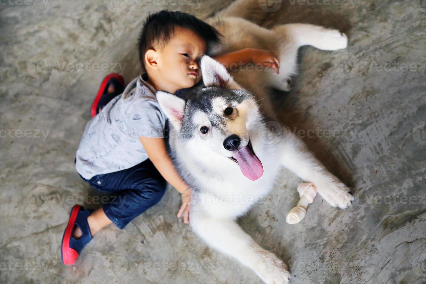 Asian boy playing with Siberian Husky at home. Kid sleeping with dog. photo