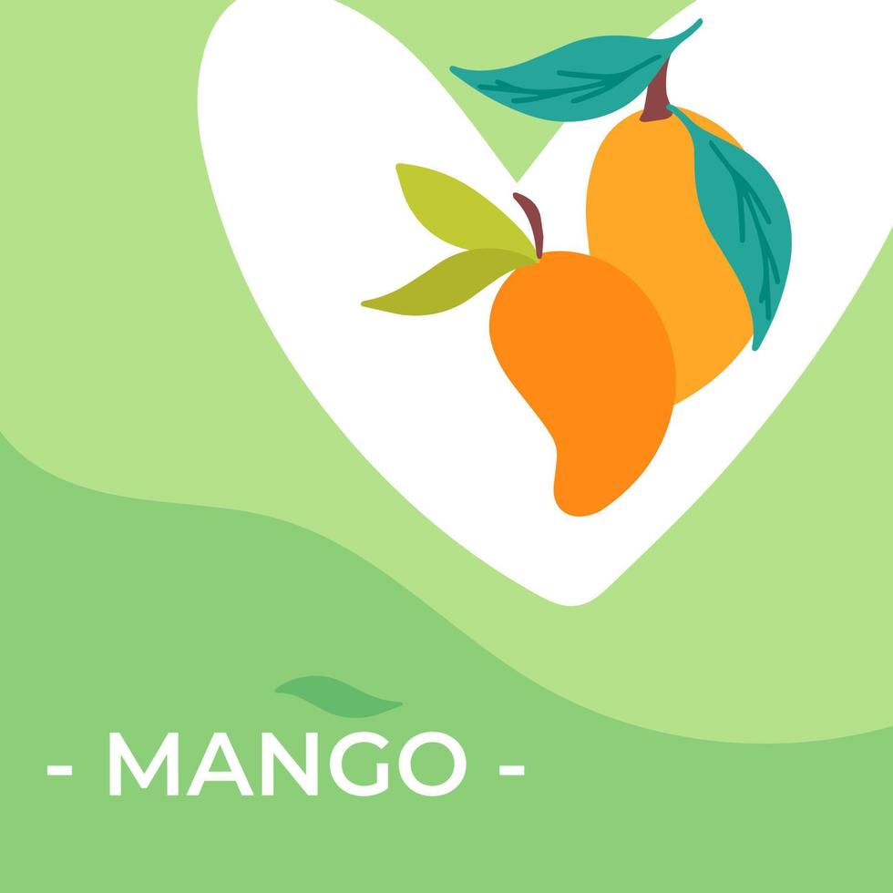 Vector fresh Mango fruit background concept