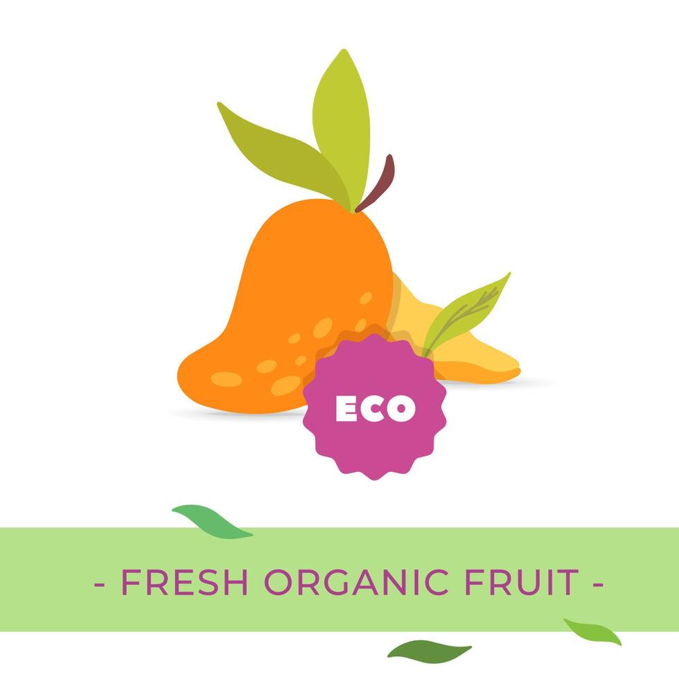 Vector fresh organic Mango fruit concept design