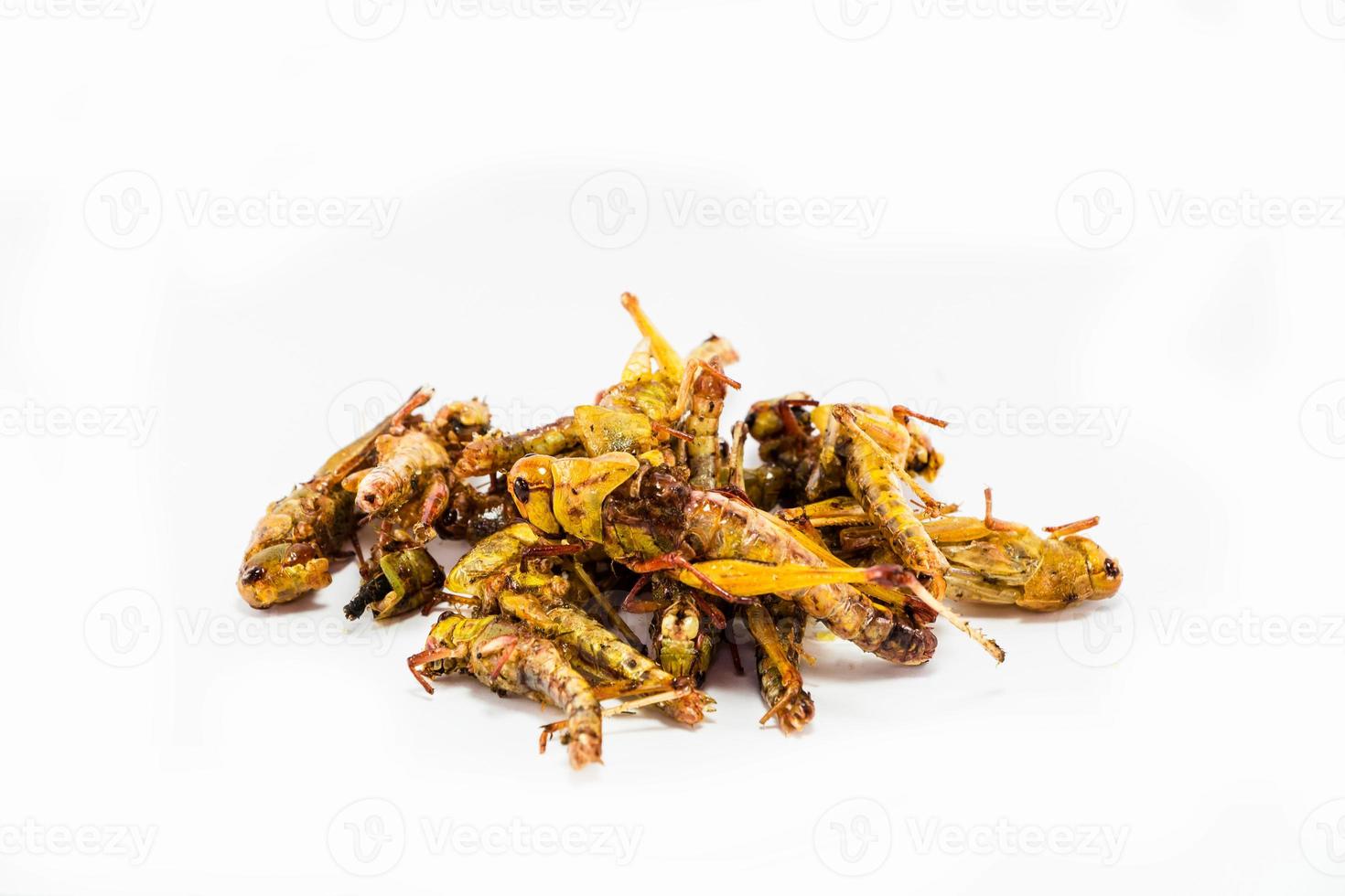 Crispy fried insects photo