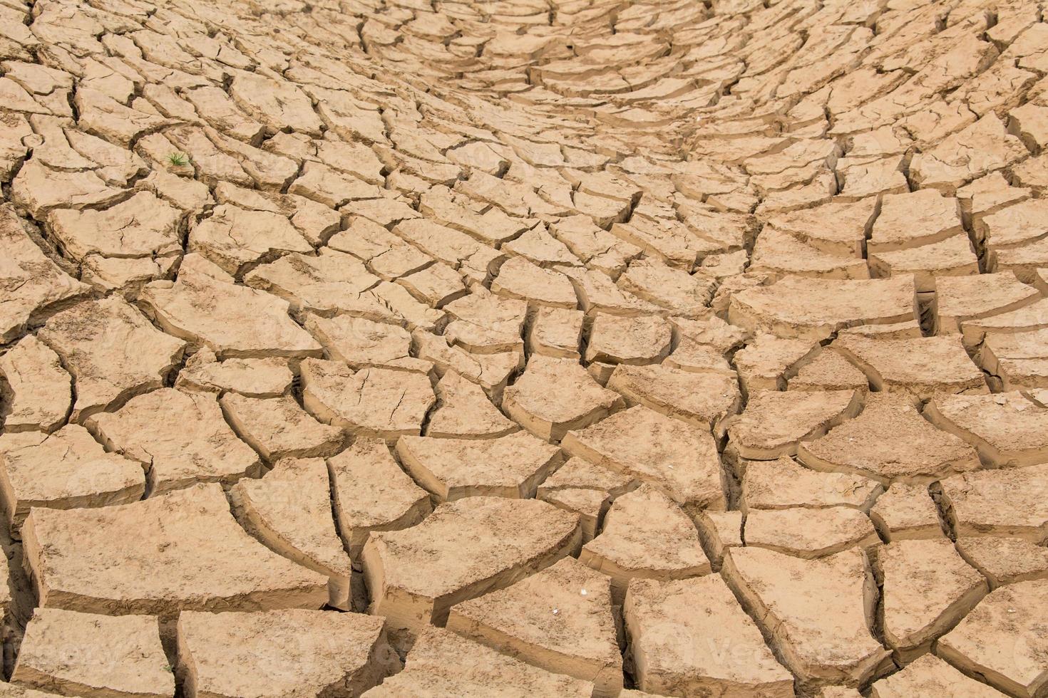 Soil crack texture photo