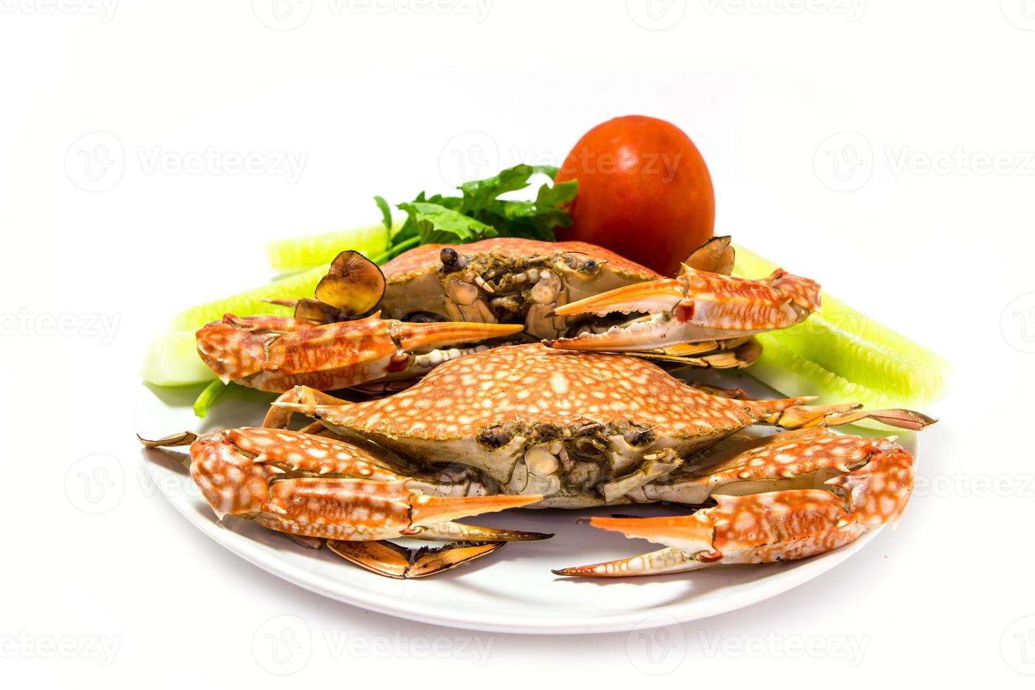 ooked dungeness crab isolated on white. photo