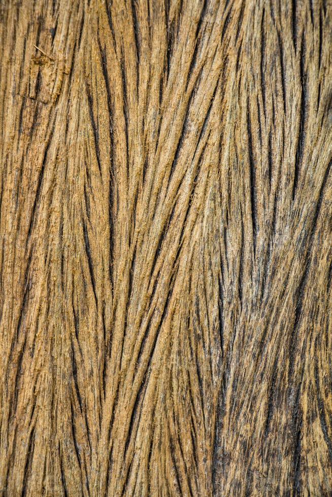 Wood Texture Background photo