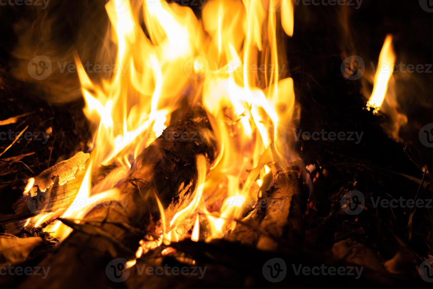 Fire flames on a black background.Abstract fiery texture. Realistic fire flames burn movement frame. Texture for Design. The texture of fire. Fire flames background. Blazing campfire. Sensitive focus. photo