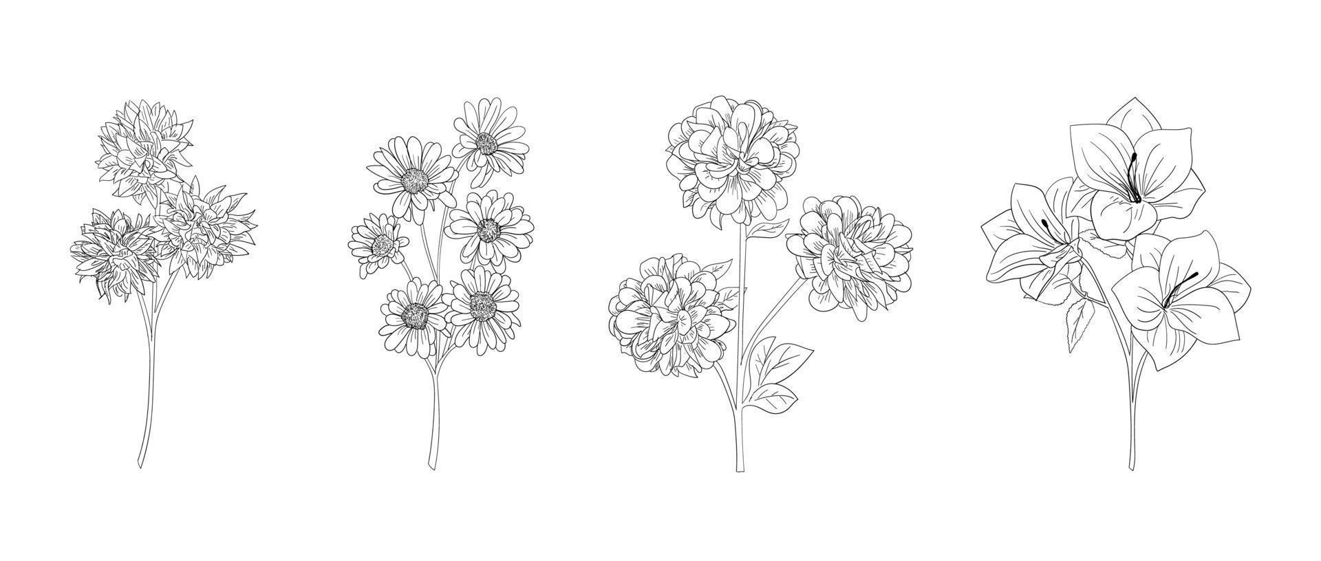 hand drawn set of black and white floral outlines. hand drawn flower stalk. Design elements for greeting cards and invitations vector