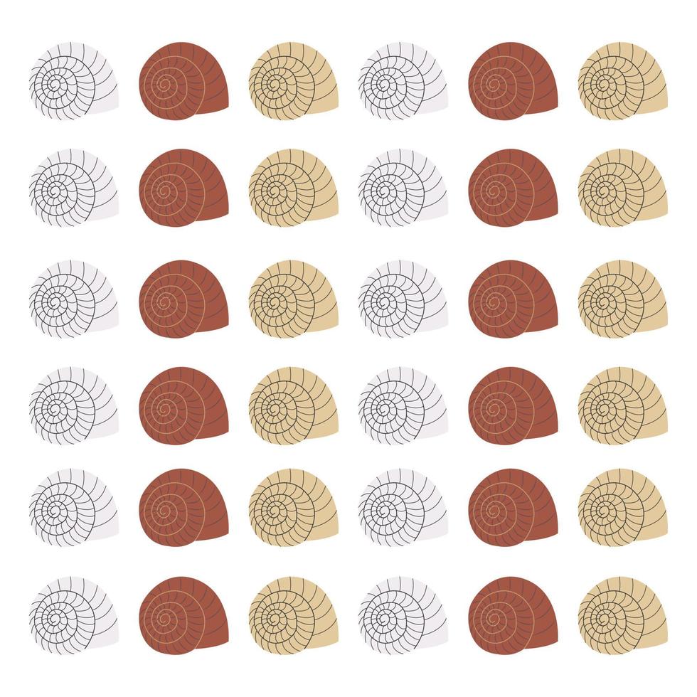 background made of snail shells vector