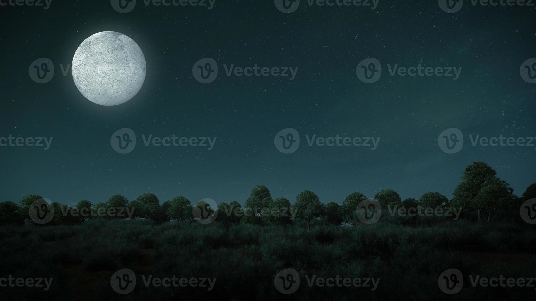 Full moon with forest and meadow.3d rendering photo